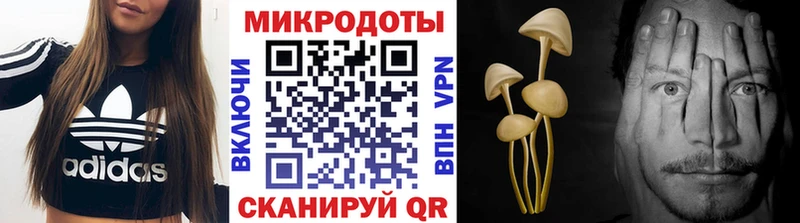 Галлюциногенные грибы мухоморы  Дзержинский 