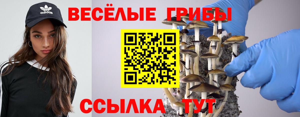 Дзержинский  Псилоцибиновые грибы прущие грибы  Галлюциногенные грибы Psilocybine cubensis  Вход с VPN 